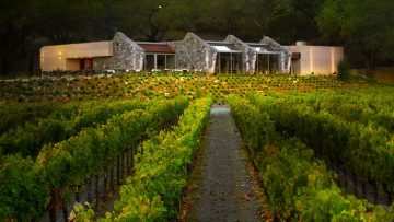 image of Stag's Leap Wine Cellar