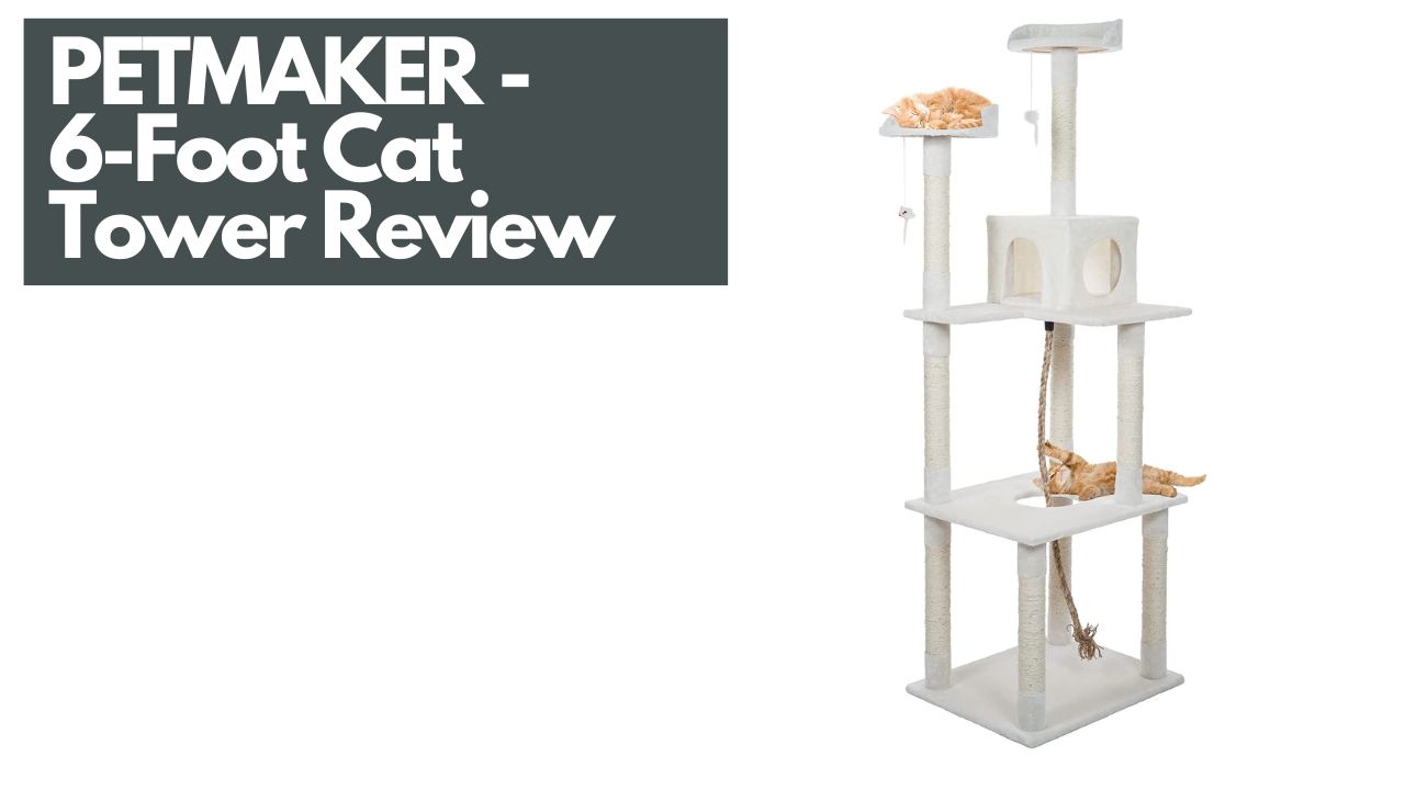 PETMAKER 6Foot Cat Tower Review Mr Product Reviews
